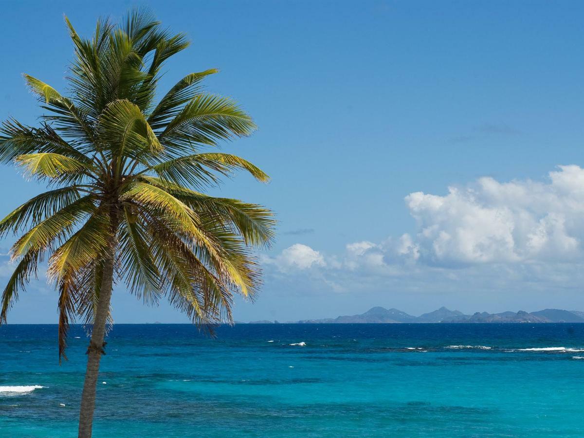 Coral Beach Club Villas & Marina Sint Maarten 外观 照片